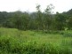 Lot 5 Brandy Creek Road, Brandy Creek QLD 4800