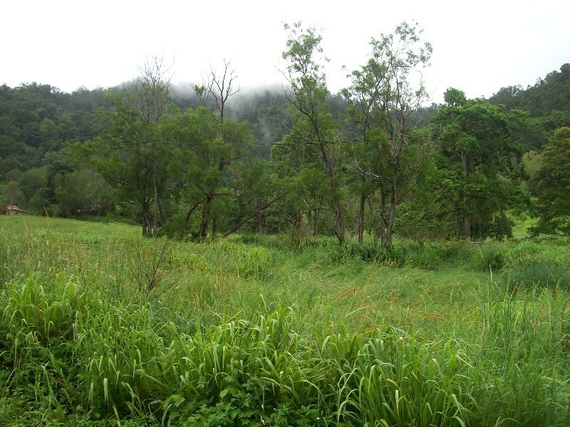 Lot 5 Brandy Creek Road, Brandy Creek QLD 4800