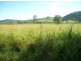 122 Patullo Road, Gregory River QLD 4800