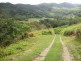 26 Forestry Road, Brandy Creek QLD 4800