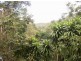 26 Forestry Road, Brandy Creek QLD 4800