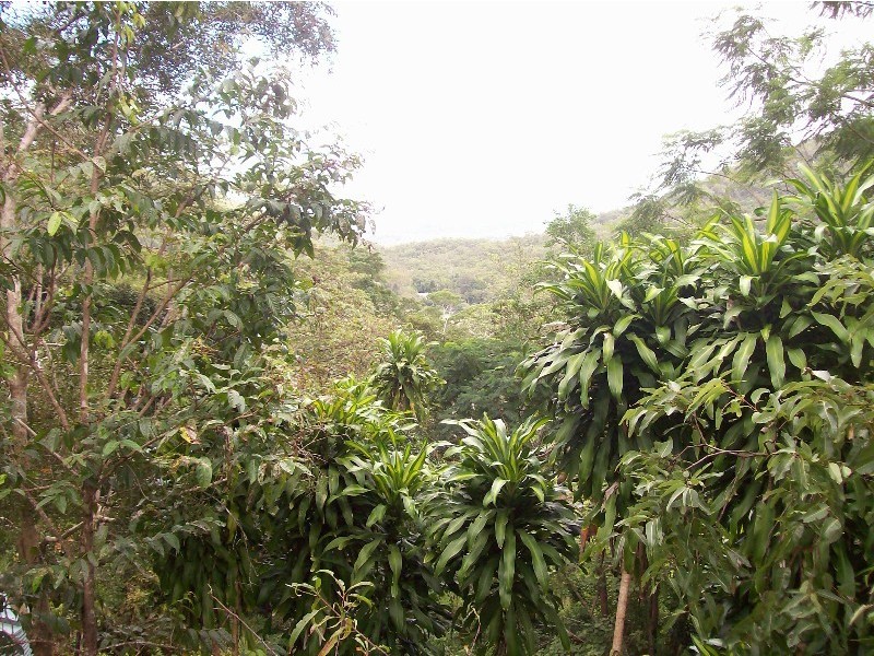 26 Forestry Road, Brandy Creek QLD 4800