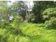 26 Forestry Road, Brandy Creek QLD 4800