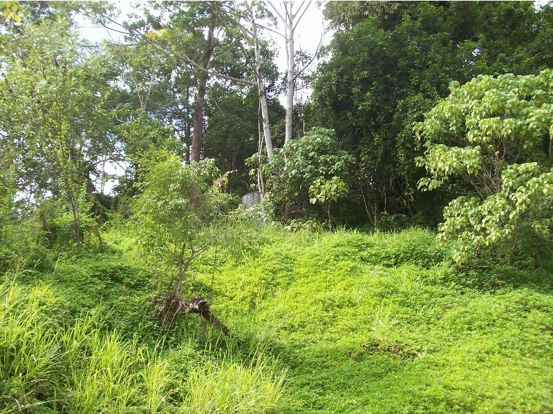 26 Forestry Road, Brandy Creek QLD 4800