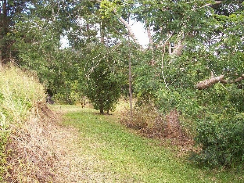 26 Forestry Road, Brandy Creek QLD 4800