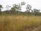 51 Conder Parade, Midge Point QLD 4799