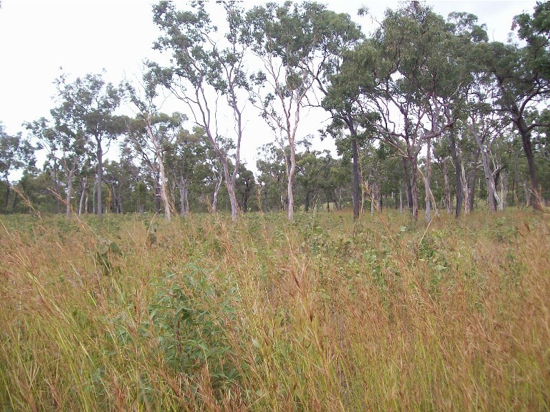 5a O’Flynn Crescent, Midge Point QLD 4799