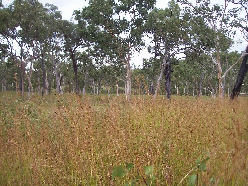 5a O’Flynn Crescent, Midge Point QLD 4799