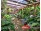 50 MITCHELL STREET, South West Rocks NSW 2431