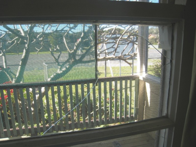 22 Straight St, Hat Head NSW 2440