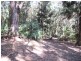 50 Palm Grove, Arakoon NSW 2431