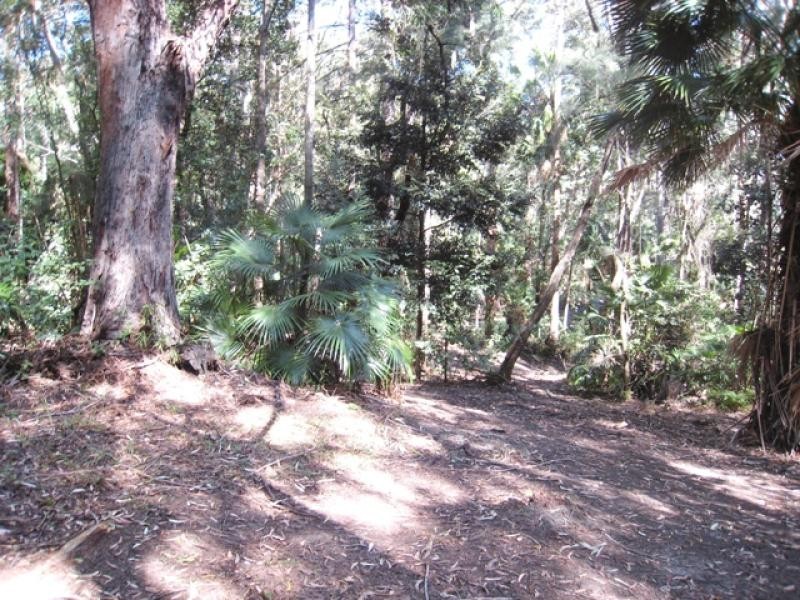 50 Palm Grove, Arakoon NSW 2431