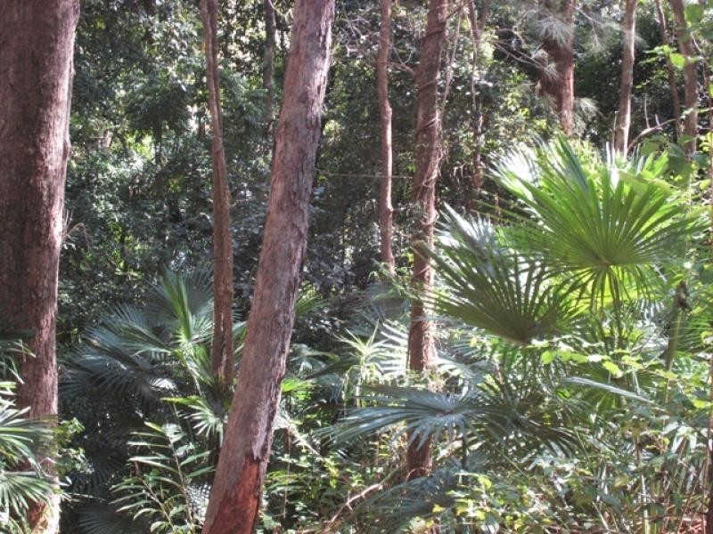 50 Palm Grove, Arakoon NSW 2431