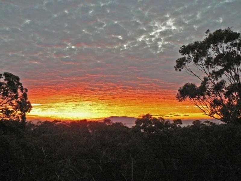 2 Martin St, Arakoon NSW 2431