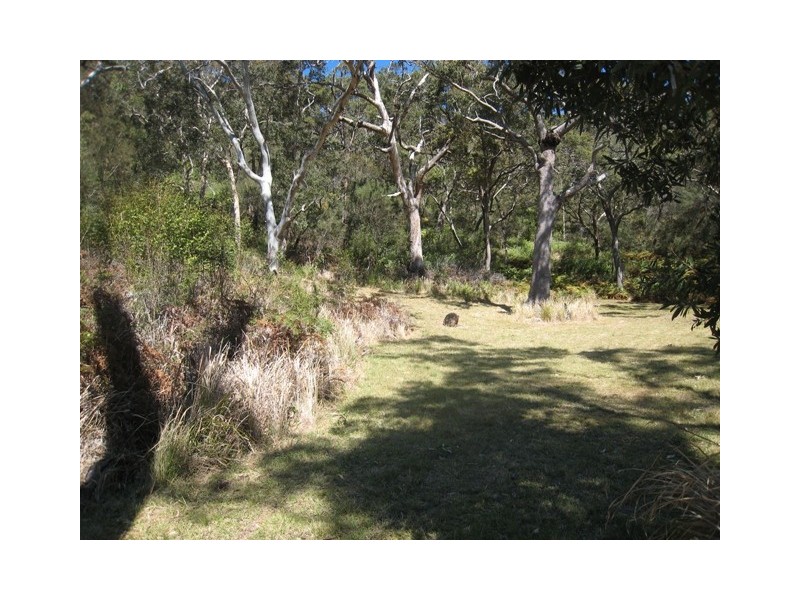 30 Marlin Cct, Hat Head NSW 2440