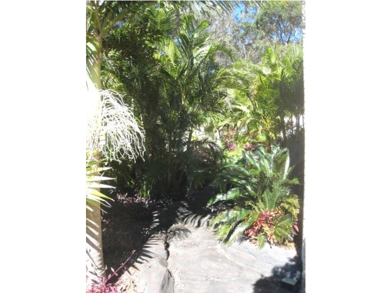 4 Salmon Circuit, South West Rocks NSW 2431