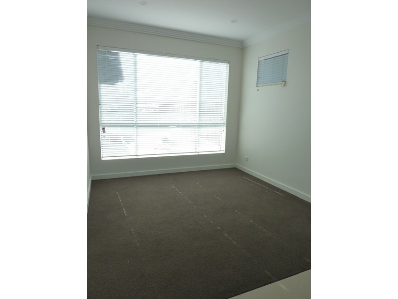 50 Wolli Avenue, Earlwood NSW 2206