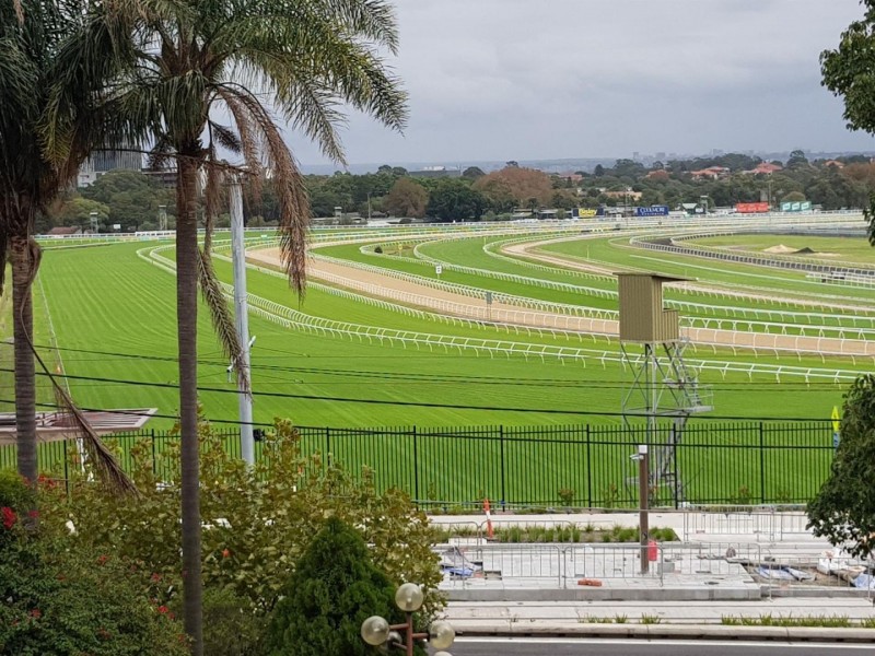 13/98-100 Alison Road, Randwick NSW 2031