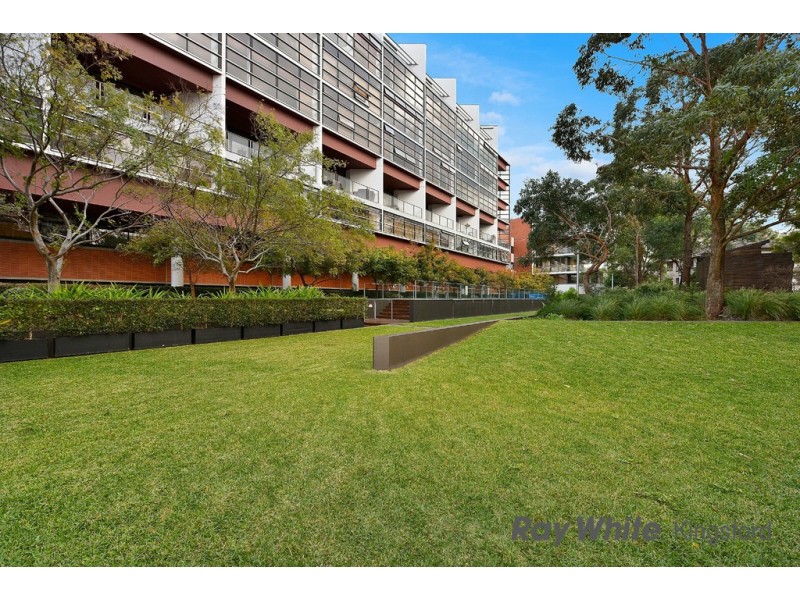 207A/264 Anzac Pde, Kensington NSW 2033