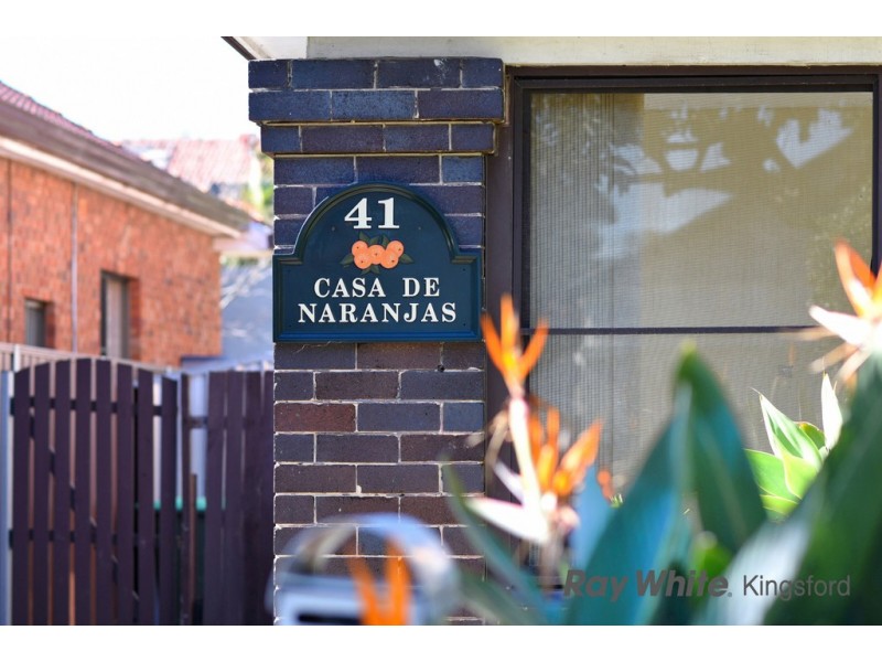 41 Leonard Avenue, Kingsford NSW 2032