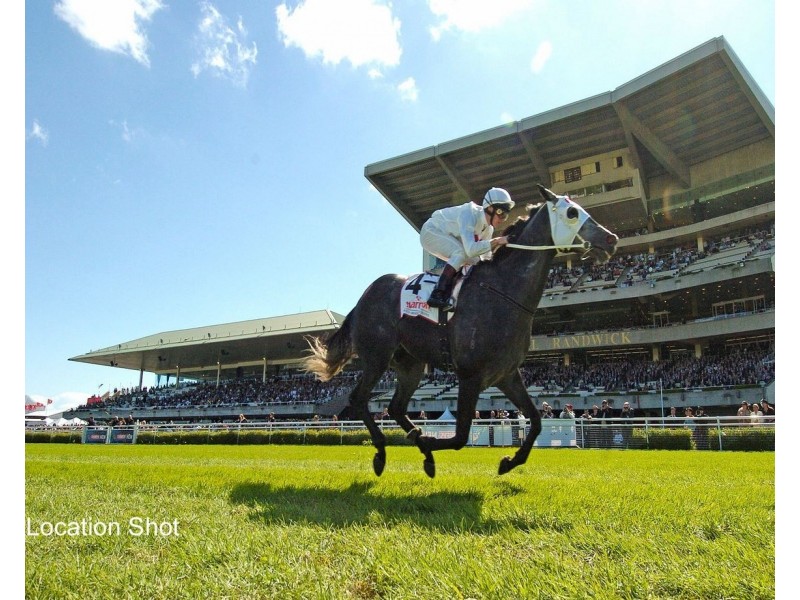 14 Elsmere Street, Kensington NSW 2033