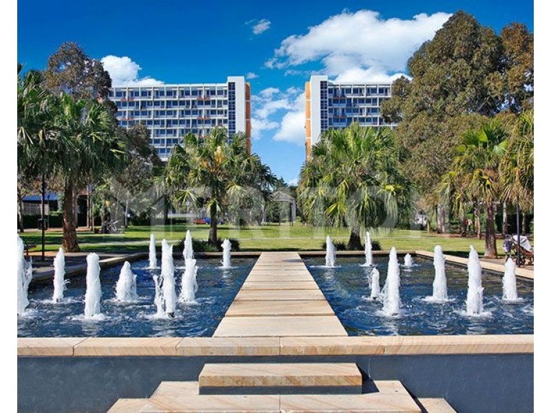 204/11 Potter Street, Waterloo NSW 2017