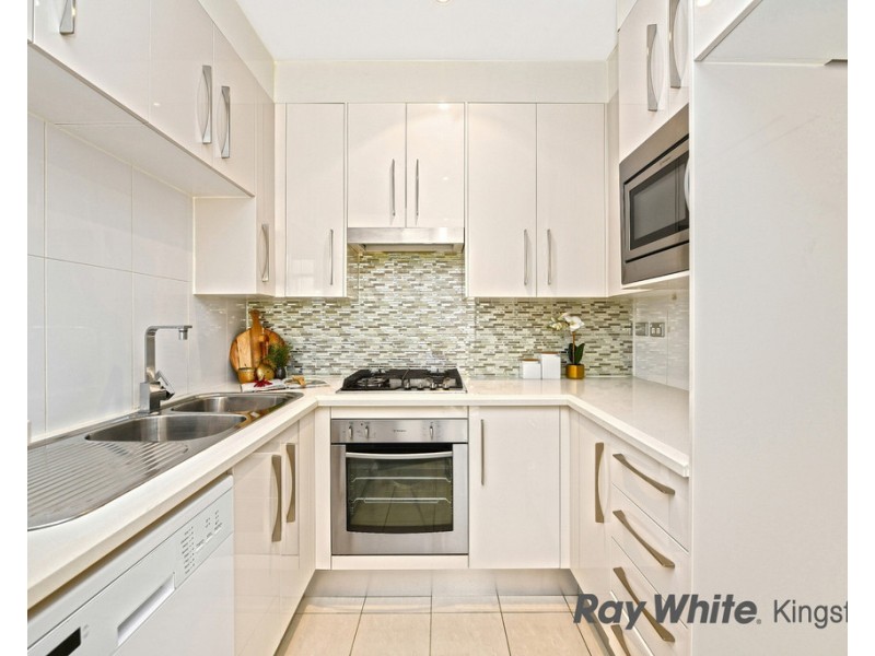 162/11 Potter Street, Waterloo NSW 2017