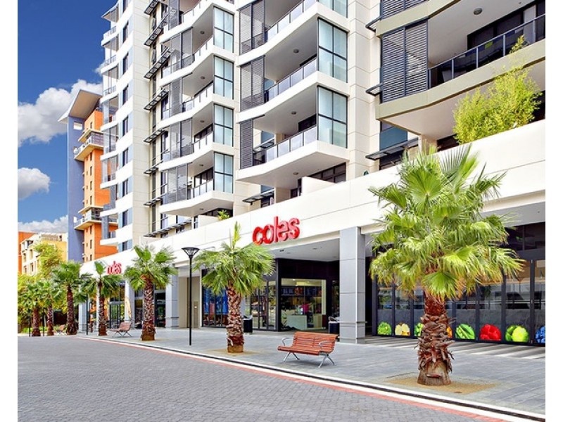 162/11 Potter Street, Waterloo NSW 2017