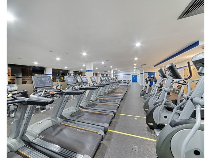 162/11 Potter Street, Waterloo NSW 2017