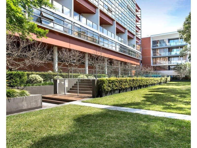 403D/250 Anzac Parade, Kensington NSW 2033