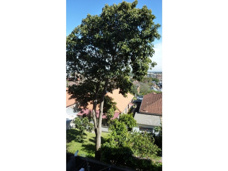 2 Kennedy Lane, Kingsford NSW 2032