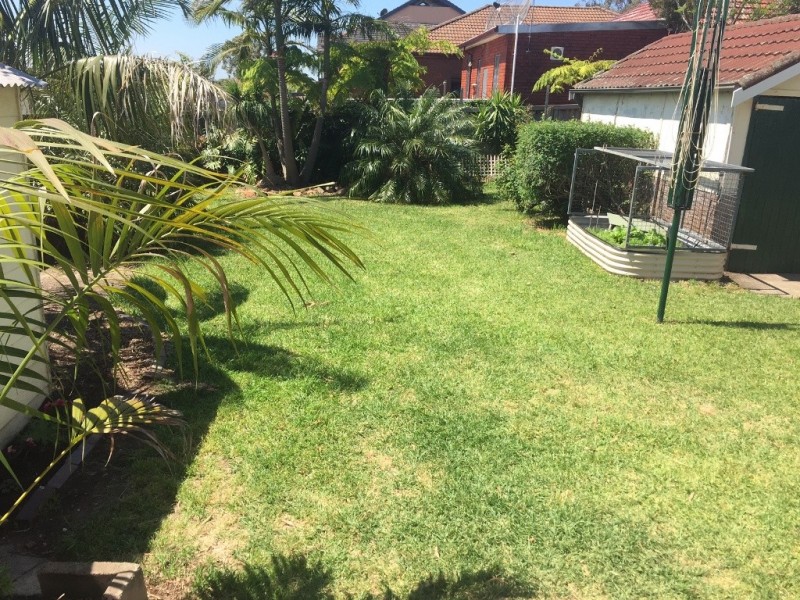 20 Percival Street, Bexley NSW 2207