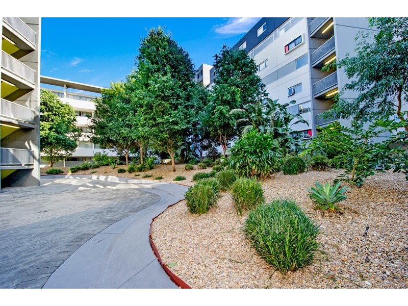 55/22 Gadigal Avenue, Zetland NSW 2017