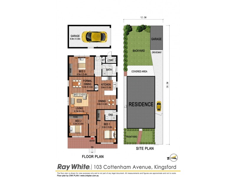 103 Cottenham Avenue, Kingsford NSW 2032 Floorplan