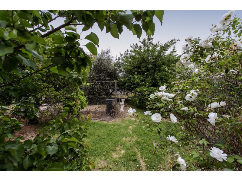 38 John Street, Flinders Park SA 5025