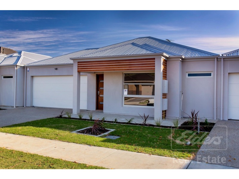 1A, 1B and 1C Ragless Avenue, Park Holme SA 5043