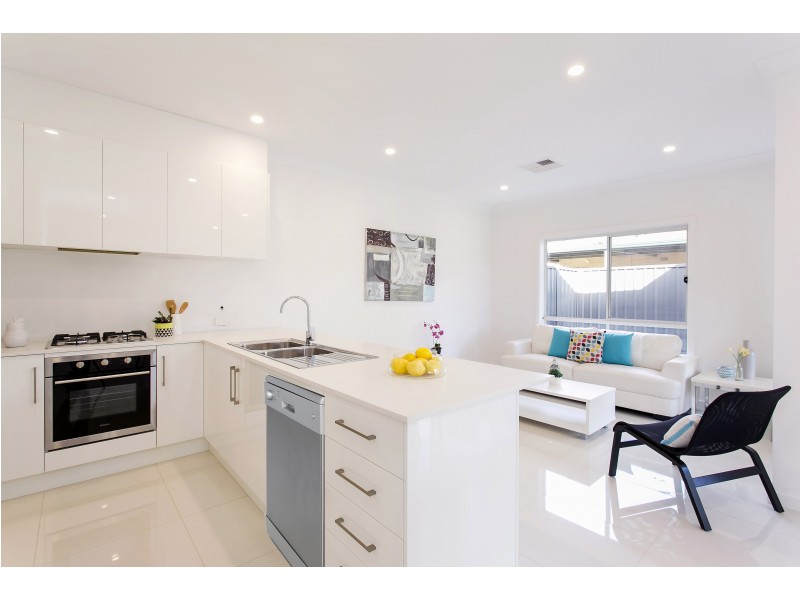 1A, 1B and 1C Ragless Avenue, Park Holme SA 5043