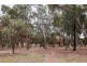 21 Lorne Crescent, Huntfield Heights SA 5163