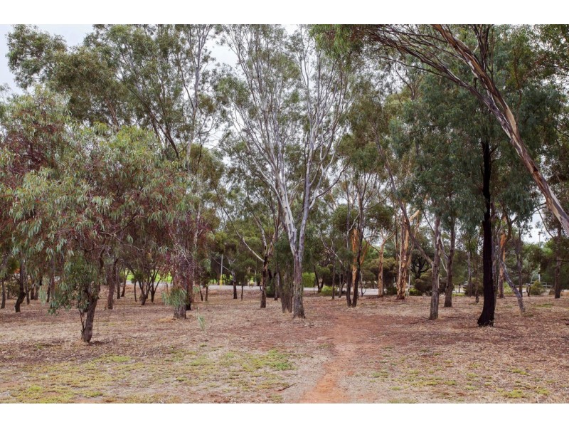 21 Lorne Crescent, Huntfield Heights SA 5163