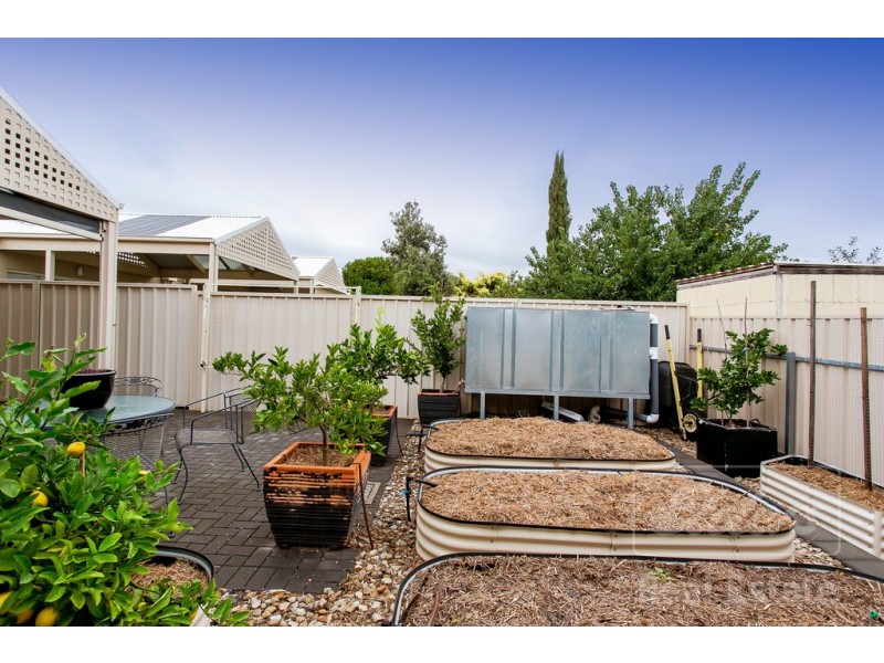 12 Mulga Street, Seacombe Gardens SA 5047