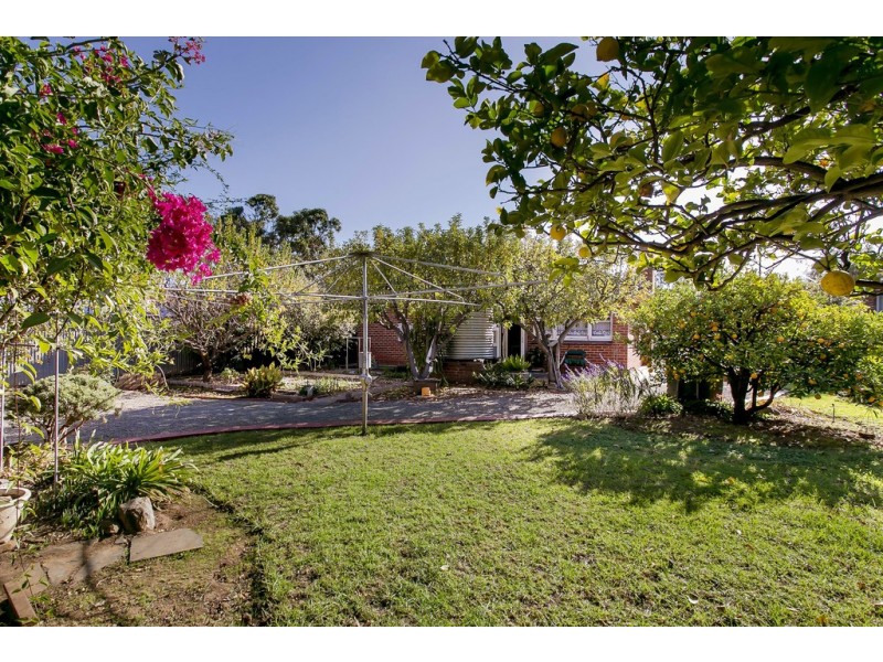 14 WATERHOUSE ROAD, South Plympton SA 5038