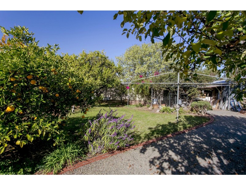 14 WATERHOUSE ROAD, South Plympton SA 5038