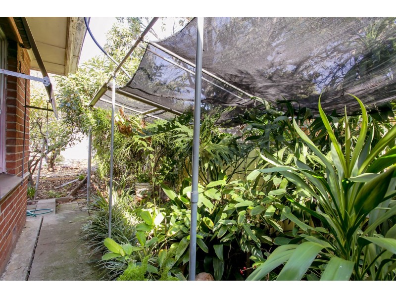 14 WATERHOUSE ROAD, South Plympton SA 5038