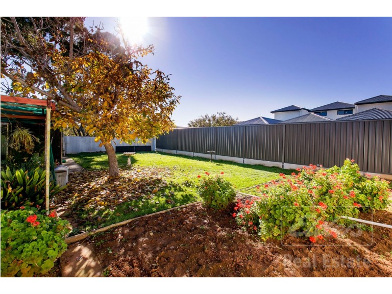 13 Doradilla Avenue, Seacombe Gardens SA 5047