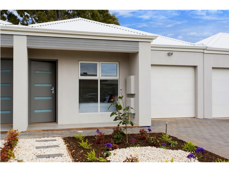 3 Jean Street, Oaklands Park SA 5046