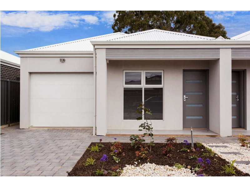 3 Jean Street, Oaklands Park SA 5046