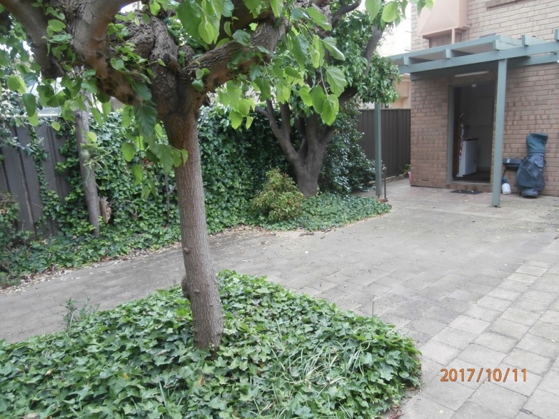 8 Canning Street, Glenelg North SA 5045