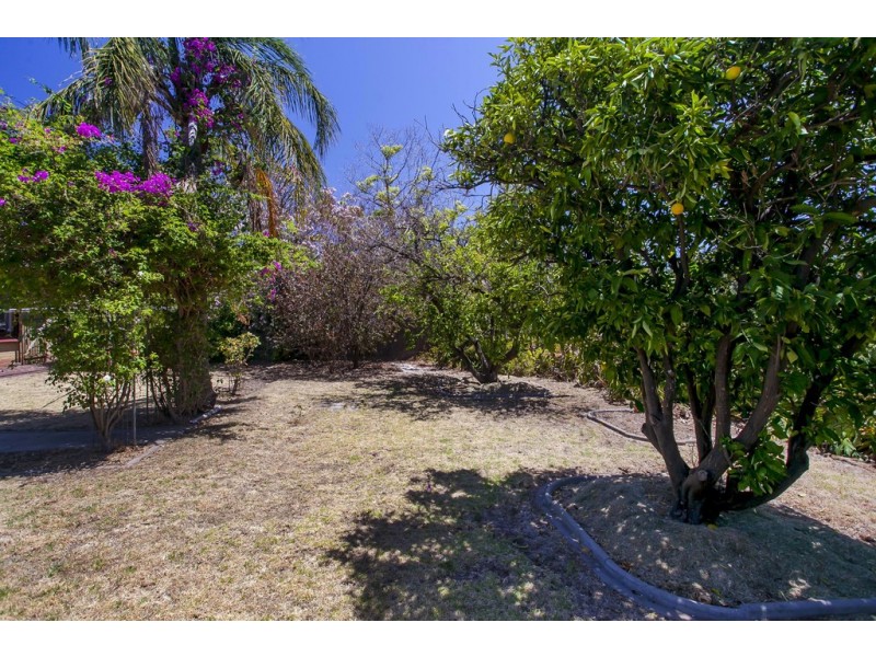 18 Downing Street, Hove SA 5048