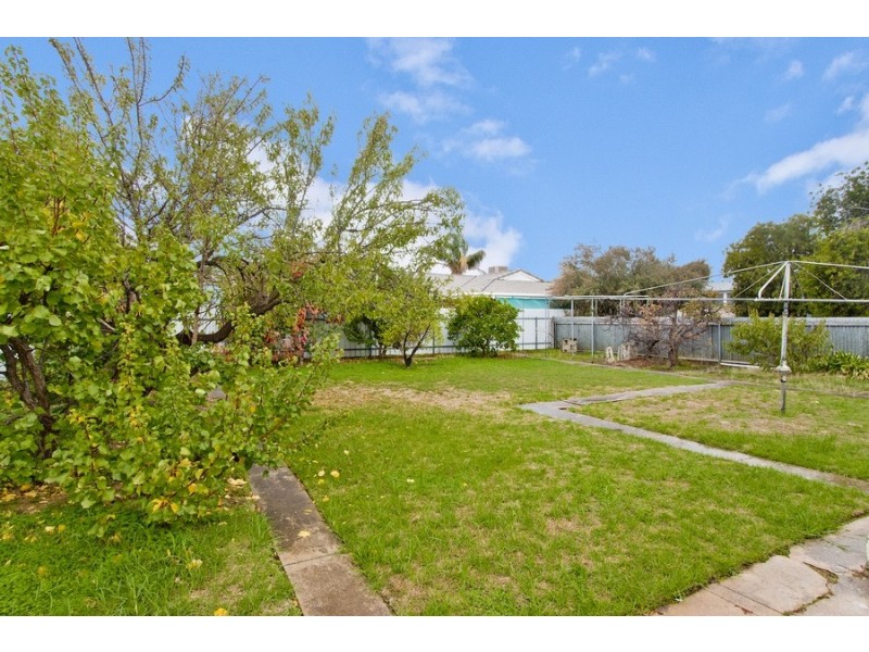 55 SHAKESPEARE AVENUE, Plympton Park SA 5038