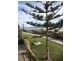 9/417 Seaview Road, Henley Beach SA 5022
